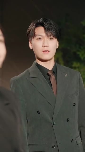 凤凰归巢(69集) 凤凰归巢(69集)免费短剧大全