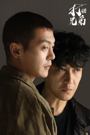 打拐兄弟(30集) 打拐兄弟(30集)无需会员轻松看