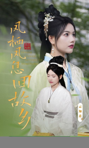 凤栖凤息回故乡(36集) 凤栖凤息回故乡(36集)全剧免费观看