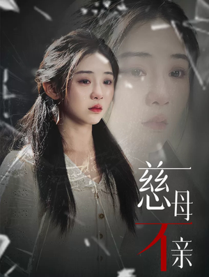 慈母不亲(40集) 慈母不亲(40集)评价怎么样