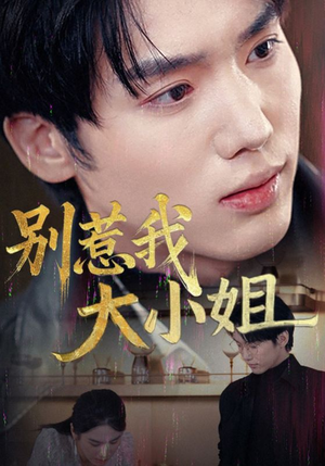 别惹我大小姐（40集）短剧免费看全集