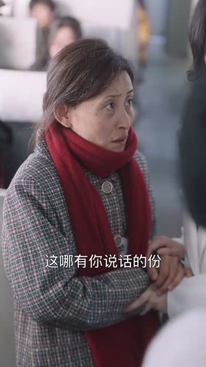 春运归途团圆年(40集) 春运归途团圆年(40集)全集免费