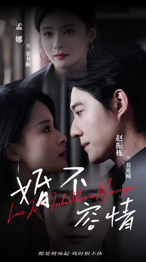 婚不容情（89集）全集一次看完