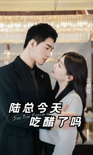 陆总今天吃醋了吗(50集) 陆总今天吃醋了吗(50集)剧情简介