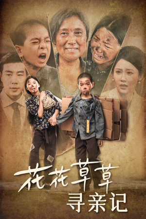 花花草草寻亲记(42集) 花花草草寻亲记(42集)最火短剧热播中