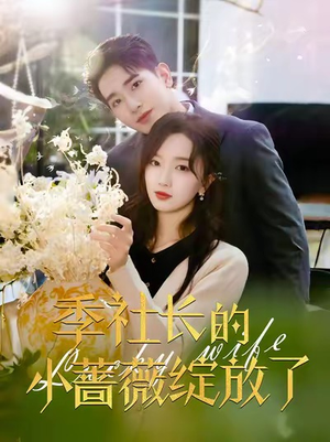 季社长的小蔷薇绽放了(60集) 季社长的小蔷薇绽放了(60集)全集完整版