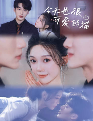 今天也很可爱的猫（72集）短剧分享剧集