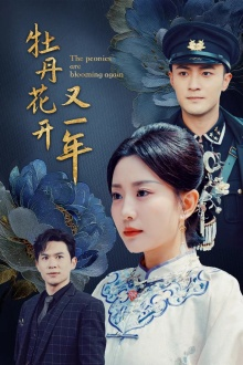 牡丹花开又一年（60集）精彩短剧天天看