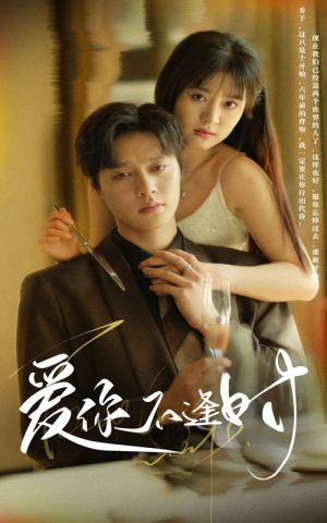 爱你不逢时(91集) 爱你不逢时(91集)第32集