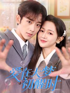 爱在大梦初醒时（100集）在线观看