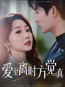 爱至离时方觉真(101集) 爱至离时方觉真(101集)全集