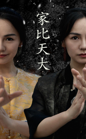 家比天大(63集) 家比天大(63集)精彩短剧下载