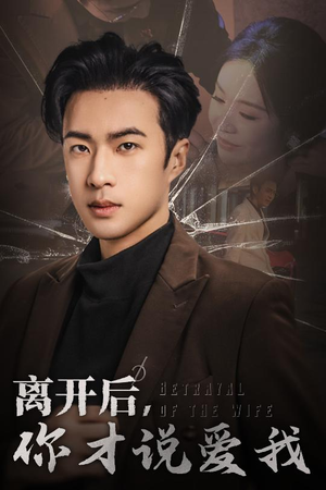 离开后,你才说爱我(30集) 离开后,你才说爱我(30集)爆款短剧推荐