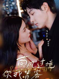 南风国境你我皆客(80集) 南风国境你我皆客(80集)完整版免费观看