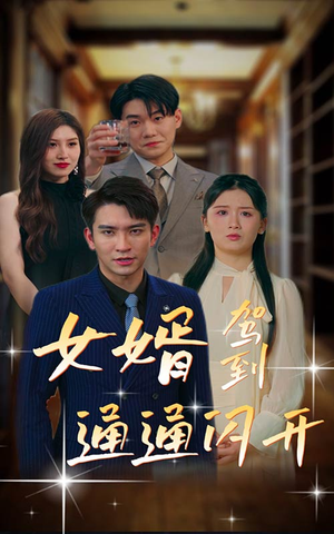 女婿驾到，通通闪开（34集）高分佳作免费看