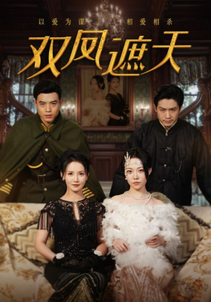 双凤遮天(62集) 双凤遮天(62集)热门短剧推广