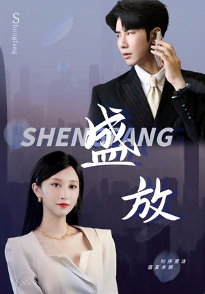 盛放（71集）全集免费