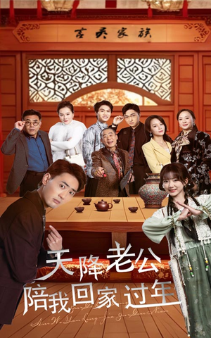 天降老公陪我回家过年(60集) 天降老公陪我回家过年(60集)免费在线看