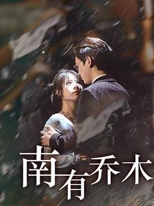 南有乔木（60集）精彩短剧随心推