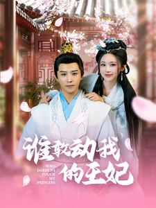 谁敢动我的王妃（62集）古装短剧热播