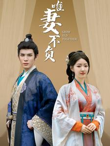 唯妻不负(80集) 唯妻不负(80集)热门爆款短剧