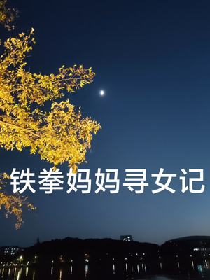 铁拳妈妈寻女记(69集) 铁拳妈妈寻女记(69集)推荐热门短剧