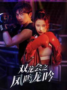 双龙会之凤鸣龙吟(80集) 双龙会之凤鸣龙吟(80集)短剧精彩绝伦