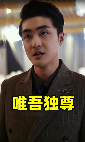 唯吾独尊（96集）无需会员免费看