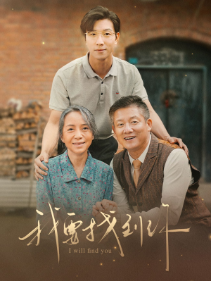 我要找到你（68集）热门火爆短剧