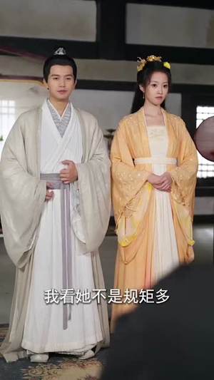 双姝斗影月光寒（77集）短剧演员排行榜