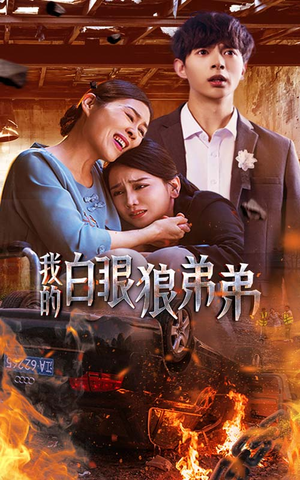 我的白眼狼弟弟（69集）抢先看热门短剧