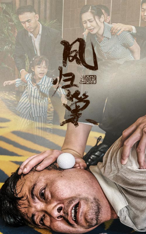 新版:凤归巢(68集) 新版:凤归巢(68集)番茄短剧免费看