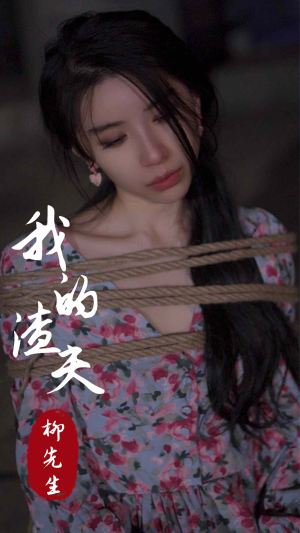 我的渣夫柳先生（80集）短剧精彩推荐