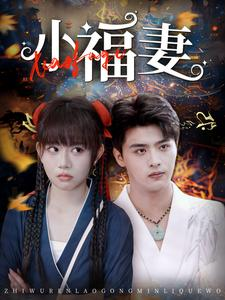 小福妻（62集）在线观看全集