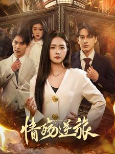 情殇逆旅（90集）看到大结局