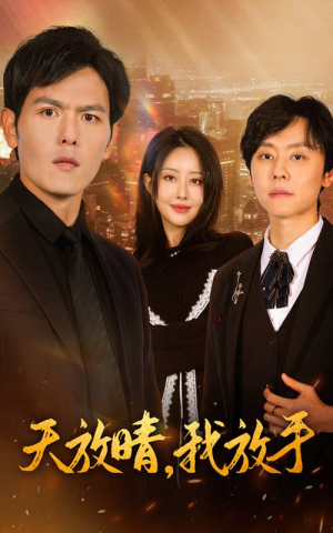 天放晴,我放手(35集) 天放晴,我放手(35集)甜宠短剧推荐