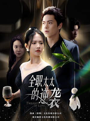 全职太太的逆袭(80集) 全职太太的逆袭(80集)番茄免费短剧