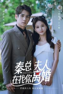 秦总,夫人在找你离婚(79集) 秦总,夫人在找你离婚(79集)短剧太精彩了