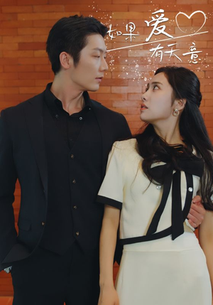 如果爱有天意（80集）完整版