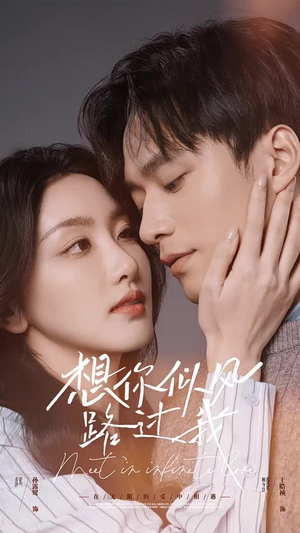 想你似风路过我（40集）短剧推荐上热门