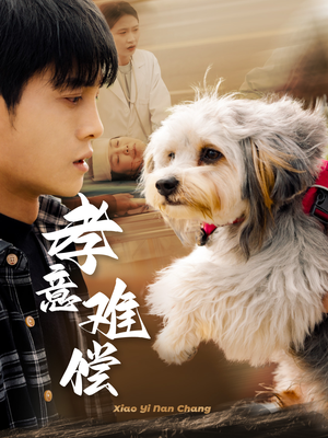 孝意难偿(32集) 孝意难偿(32集)短剧太好看了吧