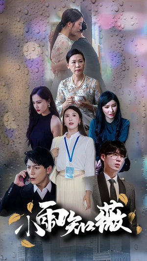 小雨知薇（80集）全集完整版