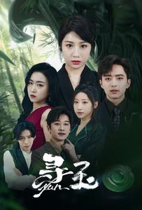 寻玉(77集) 寻玉(77集)免费观看全集