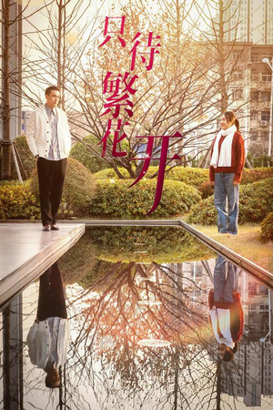 只待繁花开(35集) 只待繁花开(35集)一口气追完全集