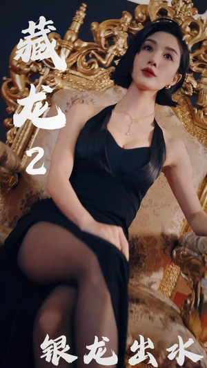 藏龙2银龙出水(35集) 藏龙2银龙出水(35集)高质量短剧推荐