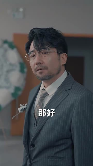 中年自救指南（33集）短剧精彩绝伦