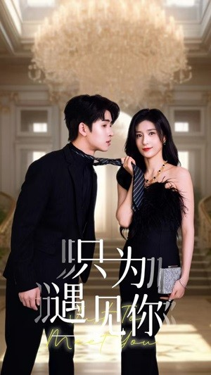 只为遇见你(88集) 只为遇见你(88集)短剧有好货推荐