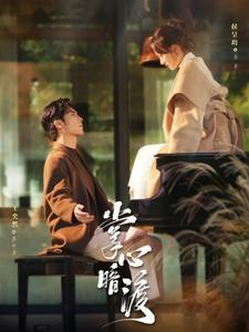 掌心暗渡（69集）第32集