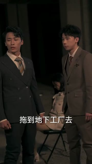 揽月拂南洲（49集）在线观看