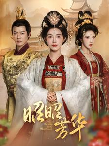 昭昭芳华（81集）爆款热门短剧